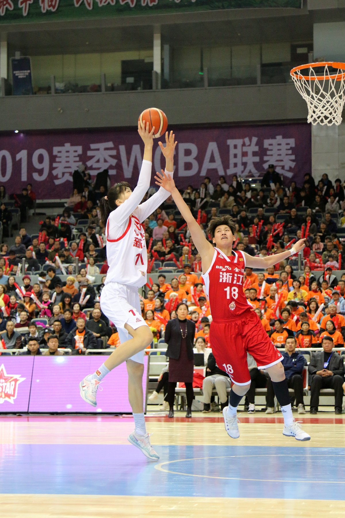 浙江队轻取辽宁队,武切维奇惊艳四座 浙江队轻取辽宁队,武切维奇惊艳四座