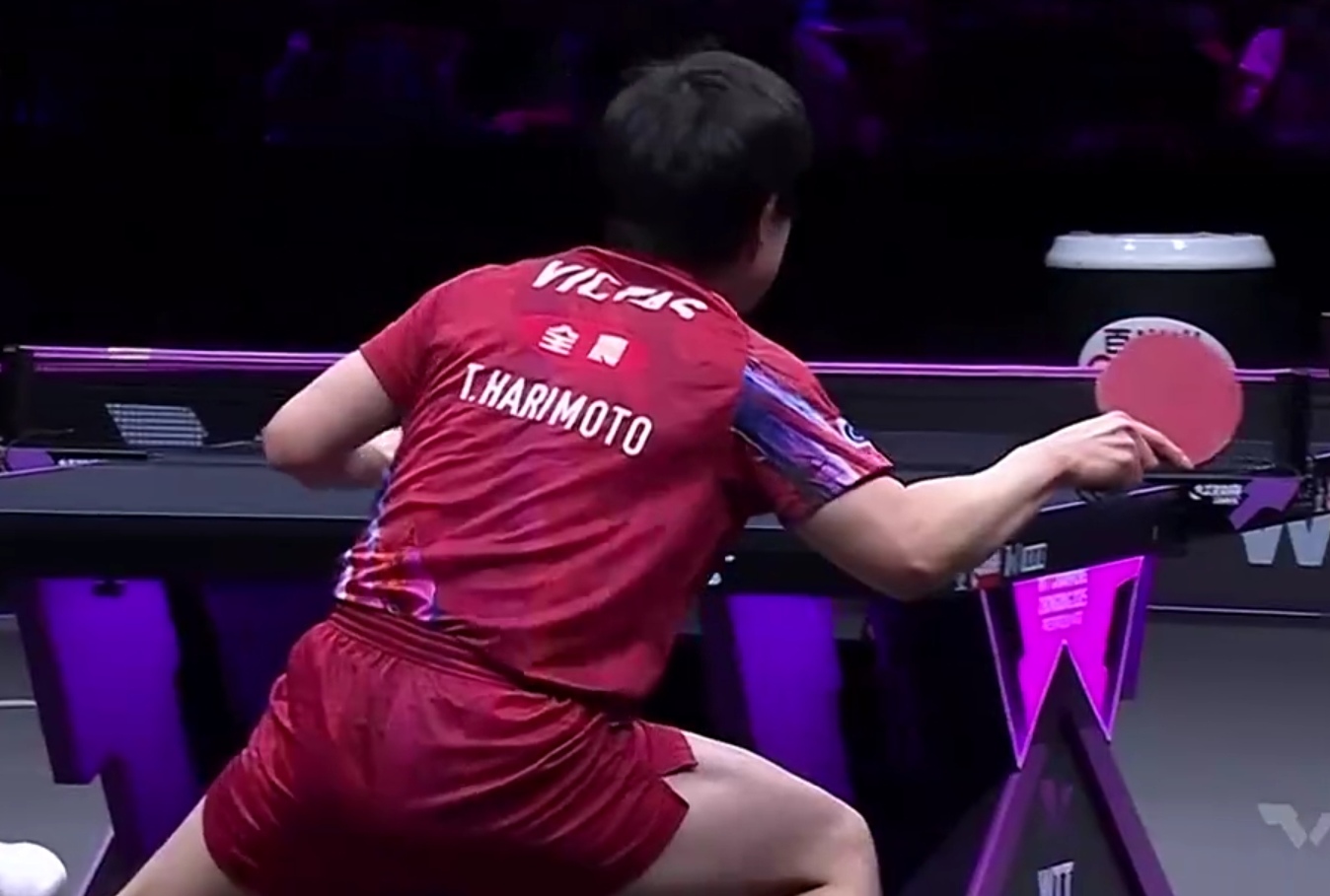 英国乒乓球队鏖战波兰乒乓球队,张本智和打破历史纪录 英国乒乓球队鏖战波兰乒乓球队,张本智和打破历史纪录