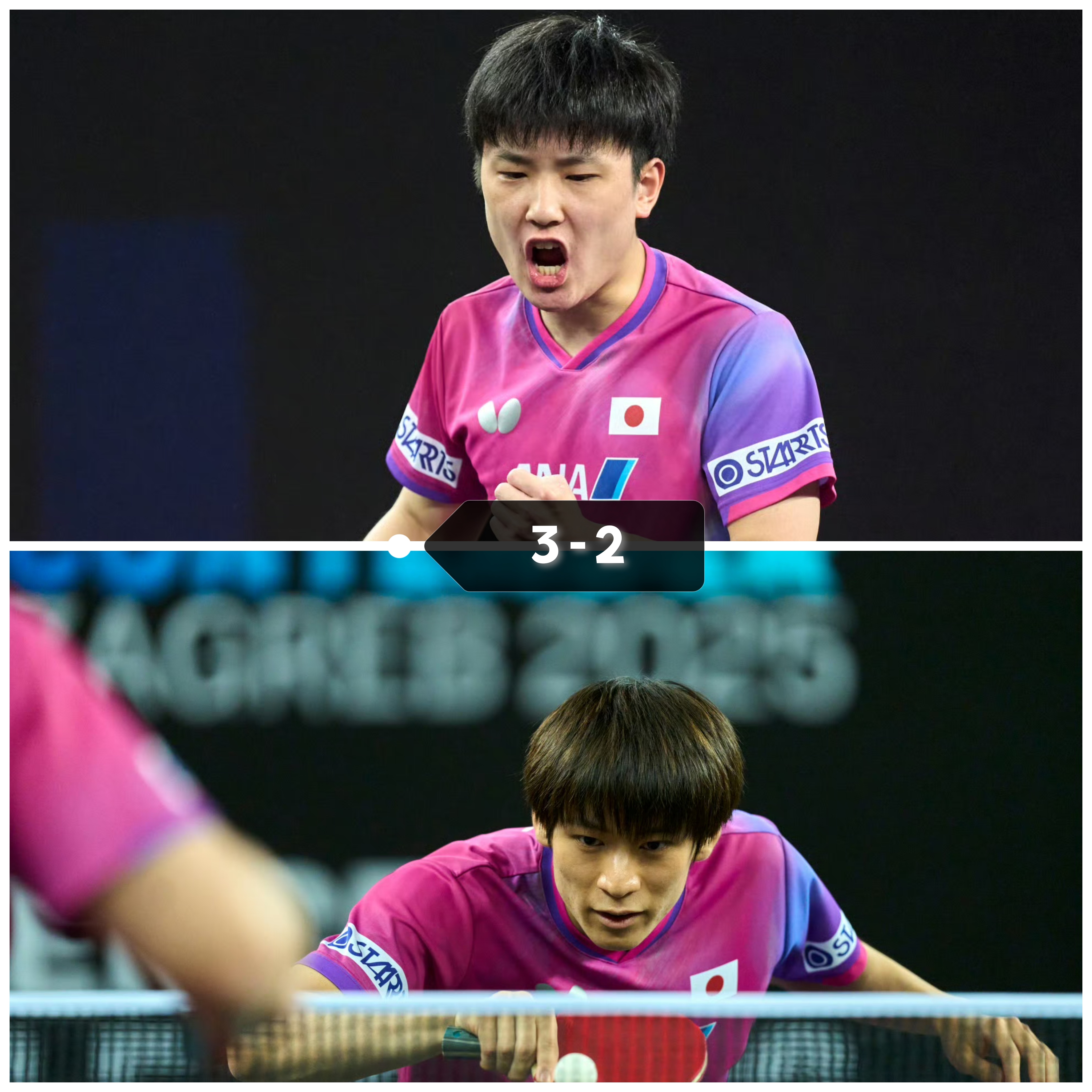 英国乒乓球队鏖战波兰乒乓球队,张本智和打破历史纪录 英国乒乓球队鏖战波兰乒乓球队,张本智和打破历史纪录