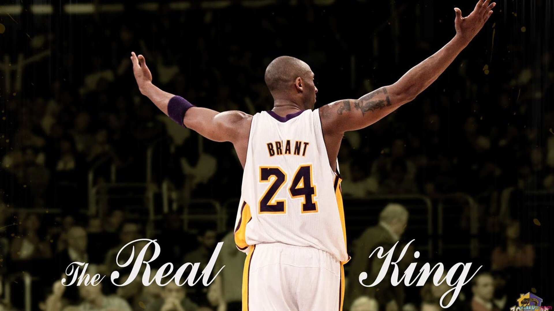 丹佛之巅，当约基奇在麦迪逊花园投下沉默的炸弹